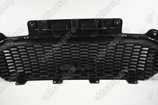 Решетка радиатора (под камеру) Haval F7