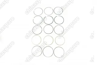 Кольцо поршневое +0,50 (Комплект) BYD Flyer